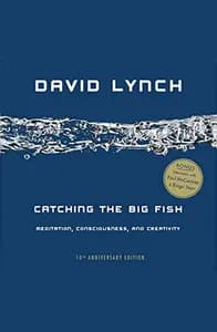 Catching the Big Fish by David Lynch