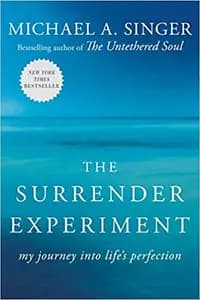 The Surrender Experiment: My Journey Into Life's Perfection