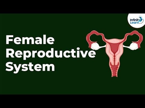 Female Reproductive System | Infinity Learn NEET thumbnail