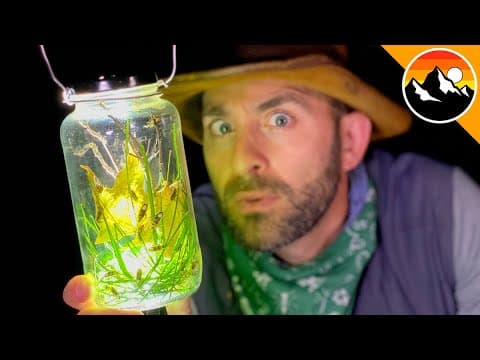 GLOW BUGS! - How to Build a Lightning Bug Lantern! thumbnail