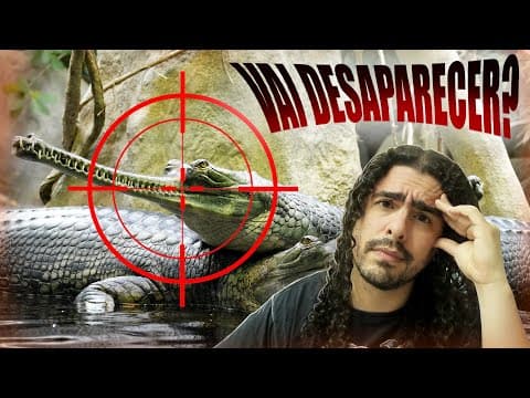 O gavial está à beira da extinção? thumbnail