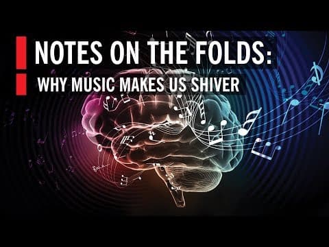 How Does Music Affect Your Brain and Emotions? thumbnail