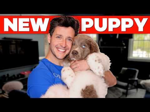 I Got A NEW Puppy! thumbnail