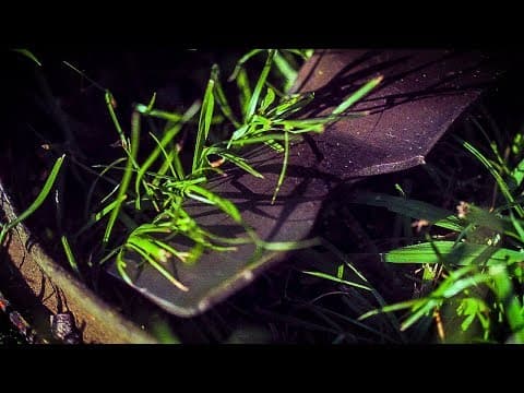 How Lawn Mower Blades Cut Grass (at 50,000 FRAMES PER SECOND) - Smarter Every Day 196 thumbnail