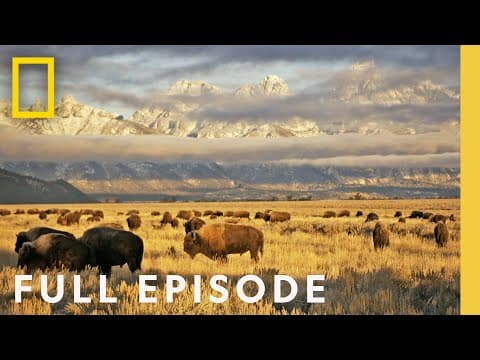 Wild Yosemite (Full Episode) | America's National Parks thumbnail