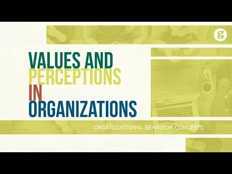 Values and Perceptions in Organizations thumbnail