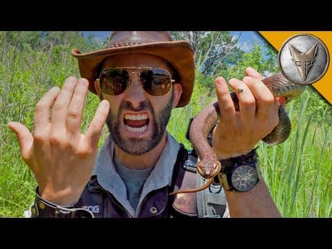 SNAKE BITE...is it Venomous?! thumbnail