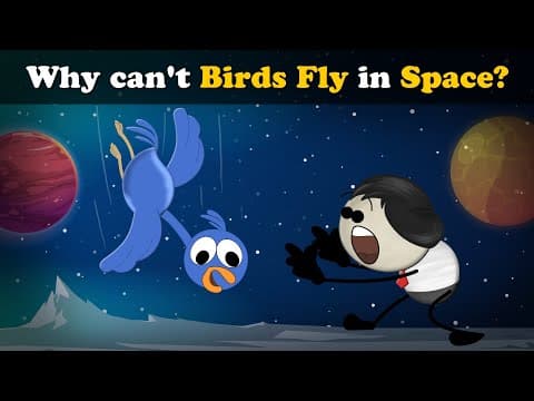 Why can't Birds Fly in Space? + more videos | #aumsum #kids #science #education #children thumbnail