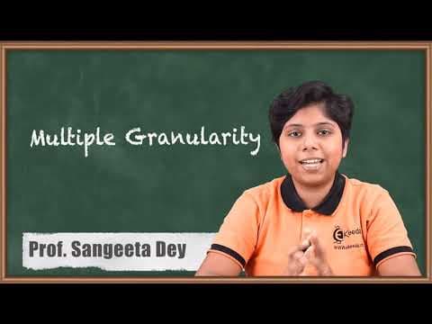 Multiple Granularity - Transaction Management - Database Management System thumbnail