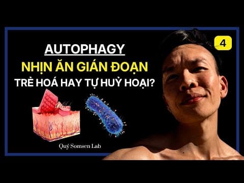 Autophagy – 5 cách kích hoạt cơ chế của tự thực tế bào mà không cần nhịn ăn gián đoạn, cực đoan thumbnail