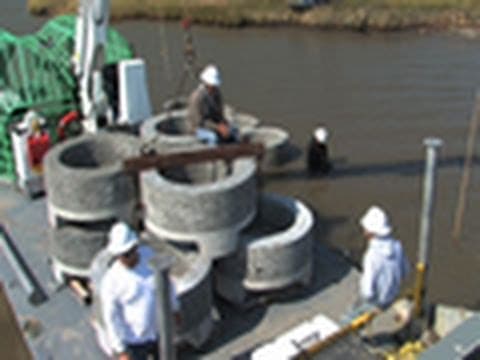 Concrete to Help Gulf Oysters | National Geographic thumbnail