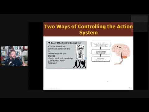 What Are Key Principles of Ecological Skill? thumbnail