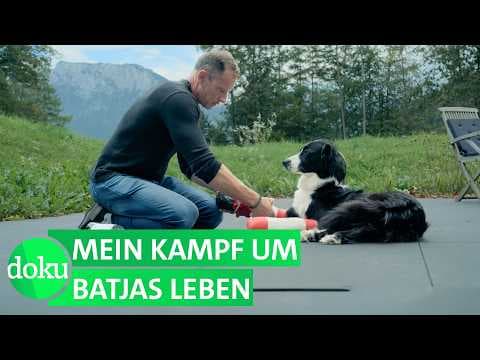 Mein schwerkranker Hund – Heilung um jeden Preis? | WDR Doku thumbnail