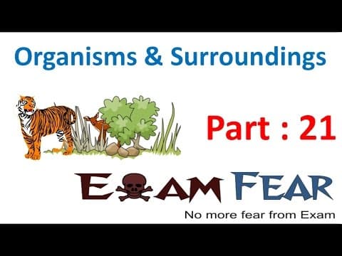 Biology Organisms & Their Surroundings Part 21 (Living Organisms Respond to Stimuli) Class 6 VI thumbnail
