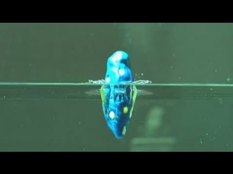 How Can You Stop Poop Splashes in the Toilet? thumbnail