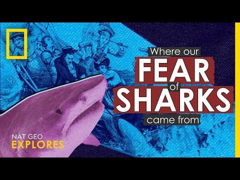 Where Our Fear of Sharks Came From | Nat Geo Explores thumbnail