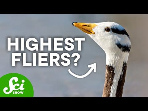 Extreme Survivors: Species That Live in Crazy Conditions thumbnail