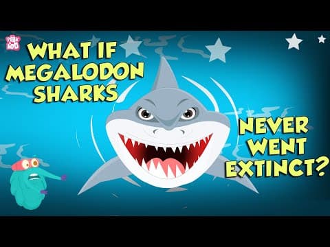 What If Megalodon Sharks Never Went Extinct? | The Megalodon | The Dr Binocs Show | Peekaboo Kidz thumbnail