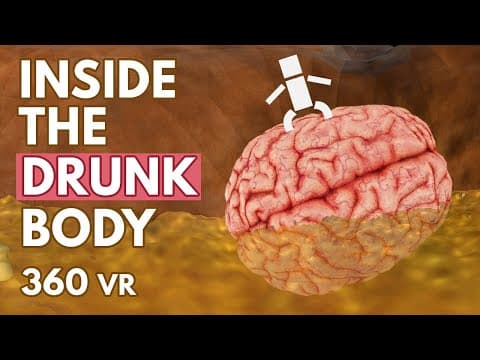 What Happens Inside Your Drunk Body? - VR 360° thumbnail
