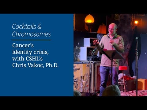 How Does Epigenetics Influence Cancer Therapy? thumbnail