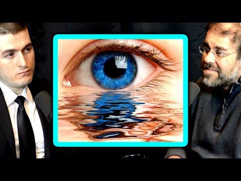History is a study of human behavior | Jeremi Suri and Lex Fridman thumbnail