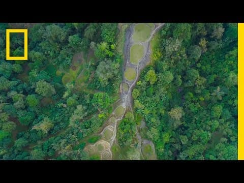 Exploring Ciudad Perdida | Lost Cities With Albert Lin thumbnail