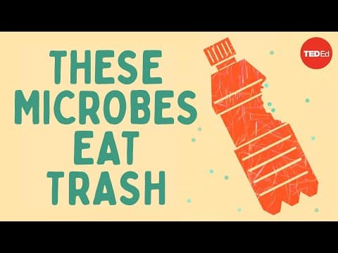 What Are the Best Microbes for Biodegrading Plastics? thumbnail
