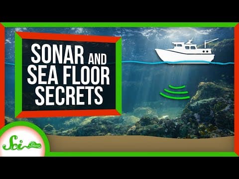 What Did Marie Tharp Discover About the Ocean Floor? thumbnail