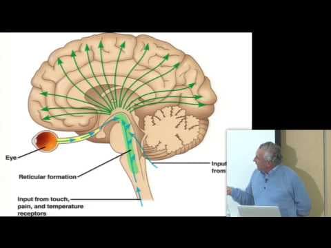 Consciousness & Physiology I thumbnail