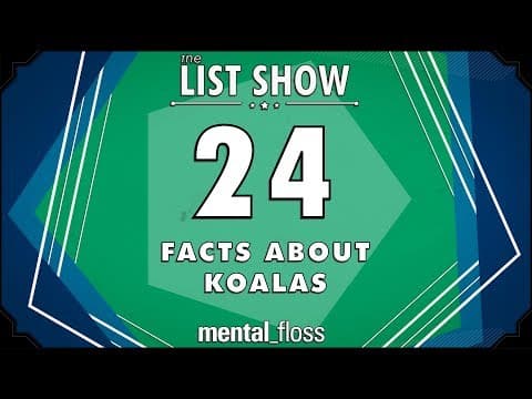 24 Facts about Koalas - mental_floss List Show Ep. 522 thumbnail