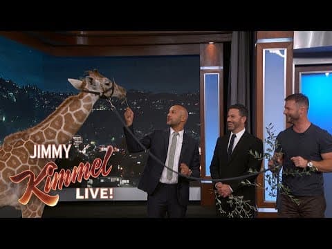 Adorable Baby Animals with Dave Salmoni & Keegan-Michael Key thumbnail