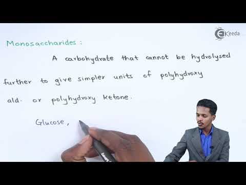 Carbohydrates and its Classification - Biomolecules - Chemistry Class 12 thumbnail
