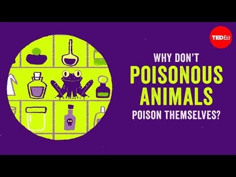 How Do Poisonous Animals Avoid Poisoning Themselves? thumbnail