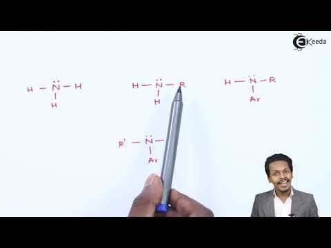 Amines & its Classifications - Compounds Containing Nitrogen - Chemistry Class 12 thumbnail