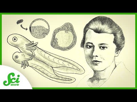 Hilde Mangold and the Organizer of Life | Great Minds thumbnail