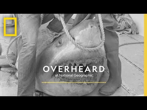 Do Shark Stories Help Sharks? | Podcast | Overheard at National Geographic thumbnail