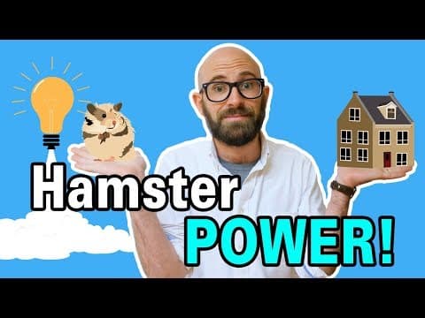 How Many Hamsters Do You Need to Power a House and Would This Be Cheaper Than Coal Power? thumbnail