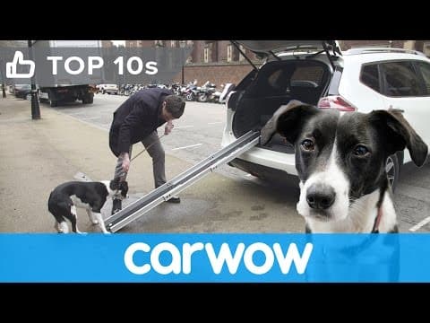 Nissan X-Trail 4Dogs - see its cool canine-friendly features | Top10s thumbnail