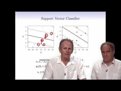 Statistical Learning: 9.3 Feature Expansion and the SVM thumbnail
