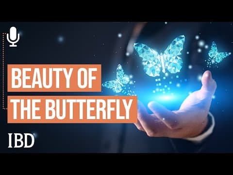 Breaking Down The Butterfly Trade | Investing With IBD thumbnail