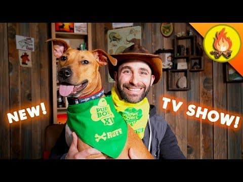 What Is the Puppy Bowl and When Is It Airing? thumbnail