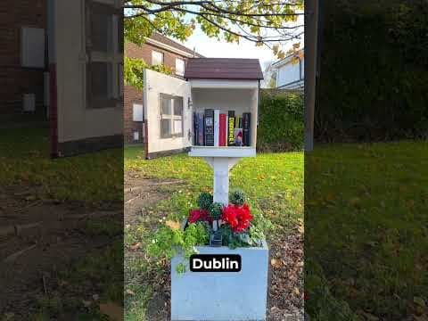 Around the world in 100 Little Free Libraries. thumbnail