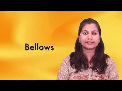 Bellows thumbnail