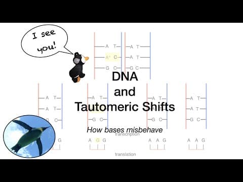 DNA and Tautomeric Shifts thumbnail