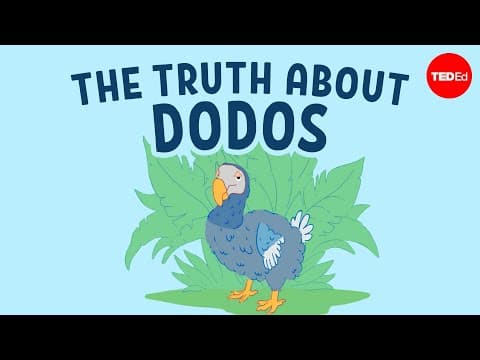 The real reason dodo birds went extinct - Leon Claessens thumbnail