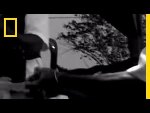 Self Stabbing | National Geographic thumbnail