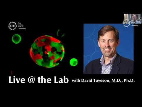 How Does Organoid Technology Advance Cancer Research? thumbnail