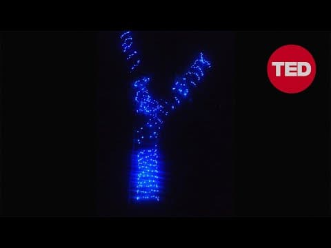 Jose Miguel Sokoloff: How we used Christmas lights to fight a war | TED thumbnail