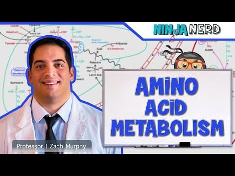 Metabolism | Amino Acid Metabolism thumbnail