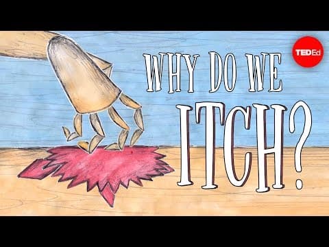 Why do we itch? - Emma Bryce thumbnail